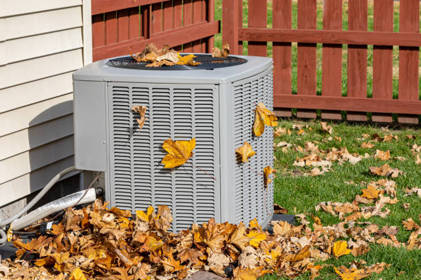 Best HVAC air duct cleaning  in Forestde, AL